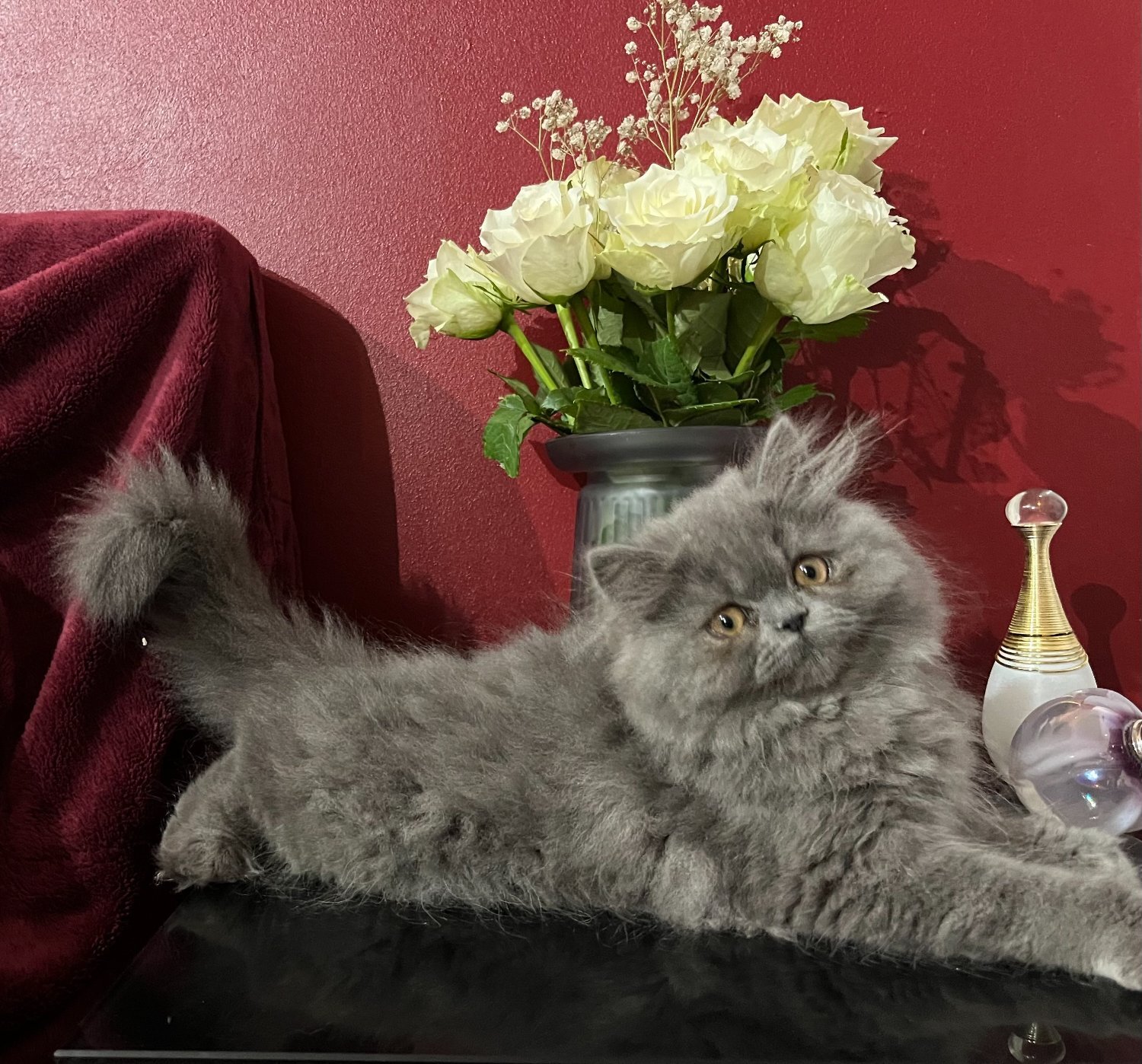 Persian