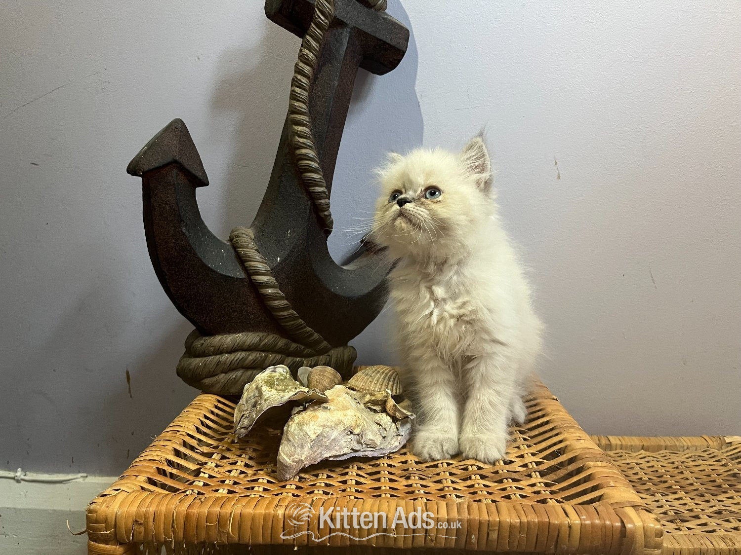 Persian
