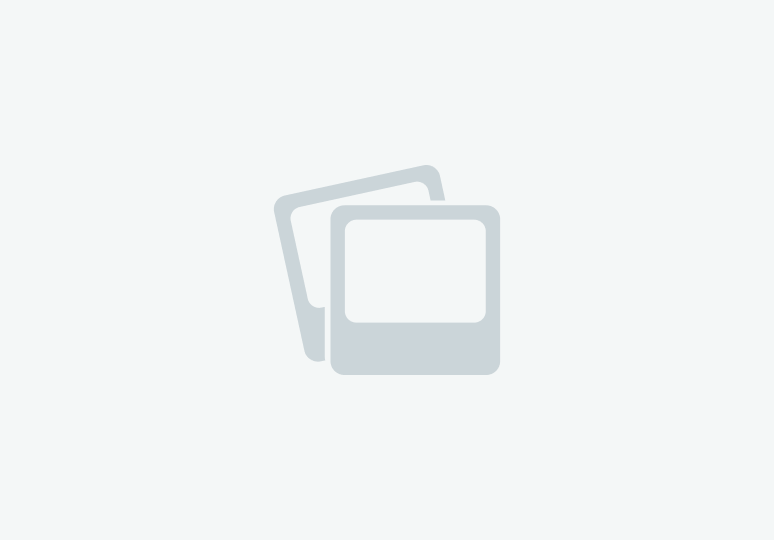 5 male kittens 4 ginger 1 black  in {LOCATION}