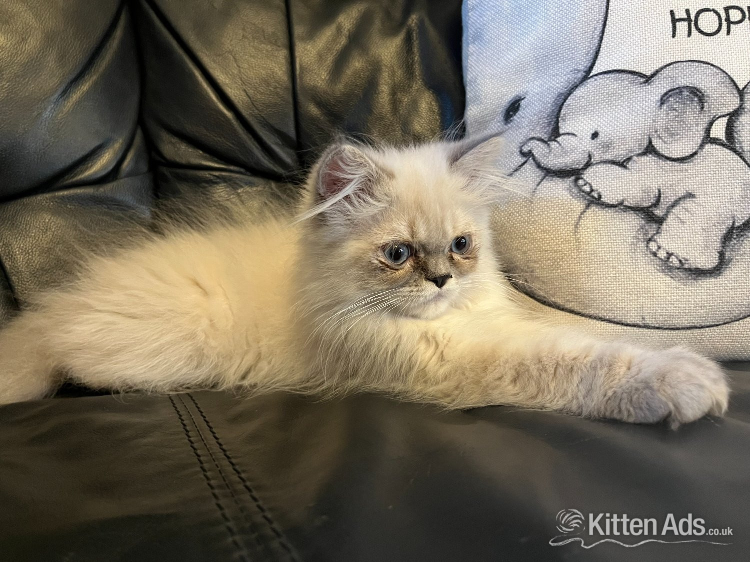 Persian