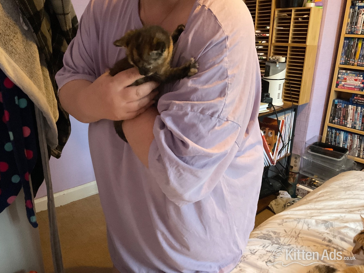  Cats and Kittens