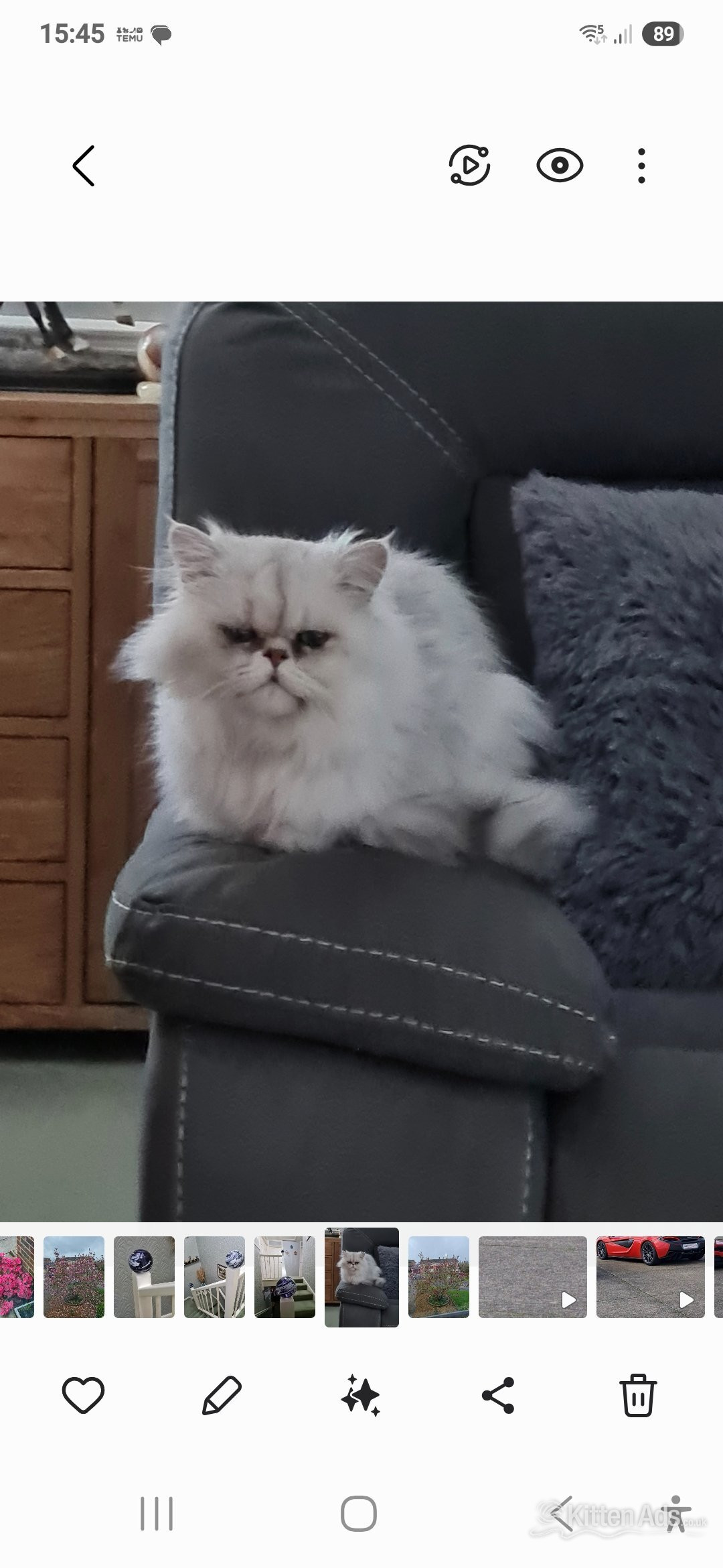Persian